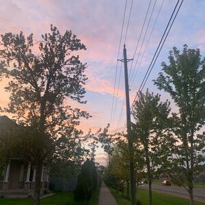 Meet your Posher, Adelyn